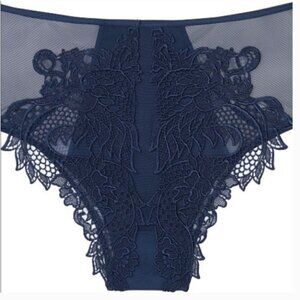 nwt! Victoria's Secret dragon high waist embroidered satin mesh panty lingerie